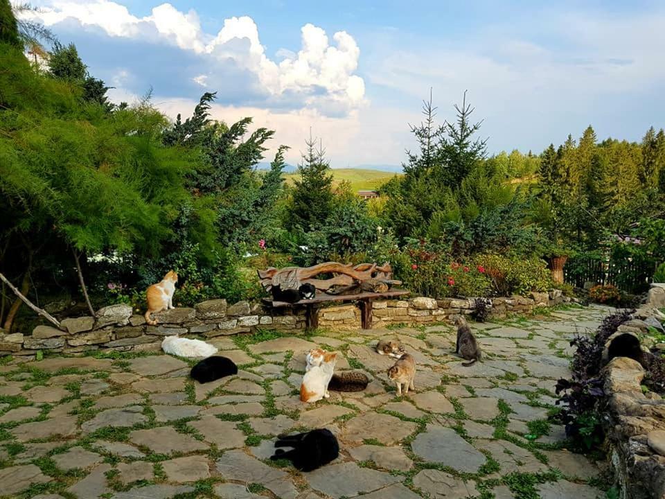 Hotel Spravzhnya Kazka Podobovec Exteriér fotografie